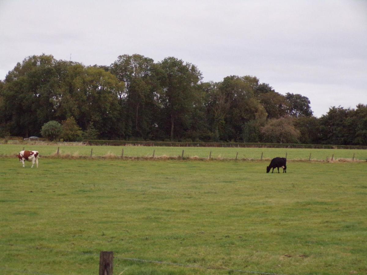 Riposo Villa Poperinge Eksteriør bilde